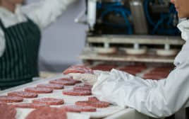 Línea de procesamiento de empanada de carne del hamburgueso